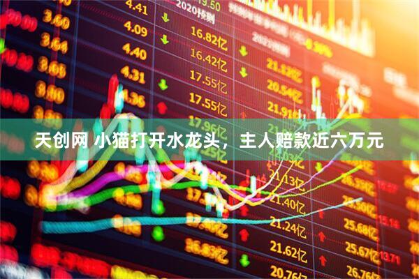 天创网 小猫打开水龙头，主人赔款近六万元